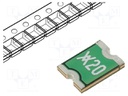 Fuse: PTC polymer; 2A