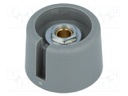 Knob; with pointer; polyamide; Shaft d: 4mm; Ø23x16mm; grey