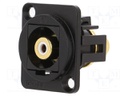 Coupler; RCA socket,both sides; Case: XLR standard; 19x24mm
