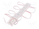 LED; white; 1.4W; 6500K; 130lm; IP66; 18÷50°; No.of diodes: 1; 2835