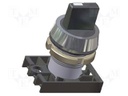 Switch: rotary; Stabl.pos: 3; 22mm; red; IP55; 70000cycles; Pos: 3
