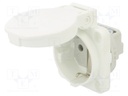 Connector: AC supply; socket; 2P+PE; 250VAC; 16A; white; PIN: 3; IP54