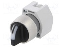 Switch: rotary; Stabl.pos: 1; 22mm; yellow/black; IP65; Pos: 2