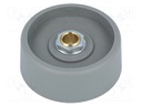 Knob; without pointer; polyamide; Shaft d: 6mm; Ø40x16mm; grey