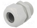 Cable gland; NPT3/4"; IP68; Mat: polyamide; light grey; UL94V-0