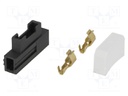 Fuse holder; automotive fuses; transparent