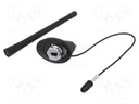 Antenna; 0.175m; Alfa Romeo,Fiat; 0.3m; Rod inclination: constant