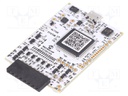 Programmer: microcontrollers; PIC,dsPIC; In the set: programmer