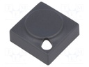 Button; rectangular; Application: 6425.4111,6425.4121,6425.4131