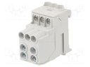 Splice terminal: distribution block; 10mm2,25mm2; ways: 1; grey