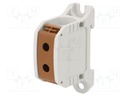 Splice terminal: rail; STB; 50mm2; ways: 1; terminals: 2; brown; TS35
