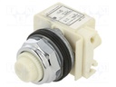 Control lamp; 30mm; 9001K; -25÷70°C; Ø30.5mm; 110÷120VAC; white