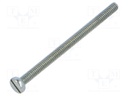 Screw; M2x30; DIN: 84; Head: cheese head; slotted; steel; zinc