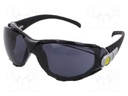 Safety spectacles; Lens: darkened; Classes: 1