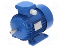 Motor: AC; 3-phase; 0.55kW; 230/400VAC; 1400rpm; 8kg; IP54; -30÷60°C