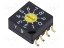 Encoding switch; Pos: 10; SMD; 100mΩ; DC load @R: 0.03A/15VDC