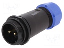 Plug; male; SP21; PIN: 2; IP68; 7÷12mm; soldering; for cable; 500V