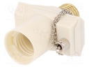 Connector: AC supply; adapter; Layout: 2P; white; 250VAC; 4A
