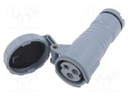 Connector: AC supply 3-phase; plug; female; straight; for cable