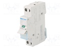 Switch-disconnector; Poles: 1; DIN; 16A; 230VAC; SBN; IP20; 1÷16mm2