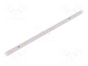 LED strip; 24V; white cold; W: 10mm; L: 480mm; CRImin: 80; 120°; D: 3mm