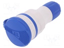 Connector: AC supply; socket; Layout: 2P+PE; blue,grey; 250VAC; 16A