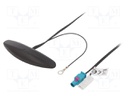 Antenna; AM,FM; universal; 0.25m; Colour: black