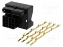 Kit; socket; Quadlock; PIN: 16; with terminal; Works with: 80320