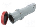 Connector: AC supply 3-phase; plug; female; straight; for cable