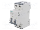 Circuit breaker; 230/400VAC; Inom: 10A; Poles: 2; DIN; Charact: C