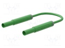 Test lead; 19A; banana plug 4mm,both sides; insulated; Len: 1m