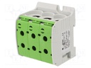 Splice terminal: rail; STB; 95mm2; ways: 1; terminals: 6; green; TS35