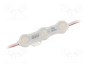 LED; white warm; 1.2W; 115lm; IP68; 12VDC; 160°; No.of diodes: 3