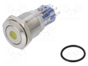 Switch: vandal resistant; DPDT; 3A/250VAC; IP67; ON-(ON); amber