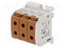 Splice terminal: rail; STB; 50mm2; ways: 1; terminals: 6; brown; TS35