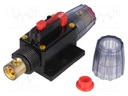 Fuse: automatic; automotive; 60A; black; 12÷48VDC; 4.2x10x4.2mm