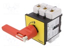 Main emergency switch-disconnector; Poles: 3; 125A; TeSys VARIO