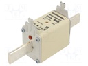 Fuse: fuse; gG; 250A; 690VAC; 250VDC; ceramic,industrial; NH2