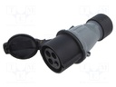 Connector: AC supply 3-phase; plug; female; straight; for cable
