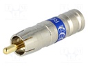 Plug; RCA; male; compression; Cable: RG6; 75Ω; 3GHz