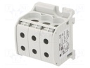 Splice terminal: rail; STB; 50mm2; ways: 1; terminals: 6; grey; TS35