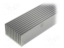 Heatsink: extruded; grilled; natural; L: 1000mm; W: 100mm; H: 60mm