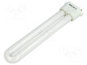 Fluorescent lamp; Application: NB-BLAMP02
