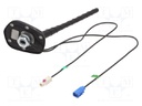 Antenna; car top; 0.2m; AM,FM,GPS; with amplifier; 0.45m