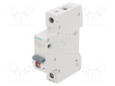 Circuit Breaker, MCB, 5SL4, 1P, 10 kA, 400 V, 25 A